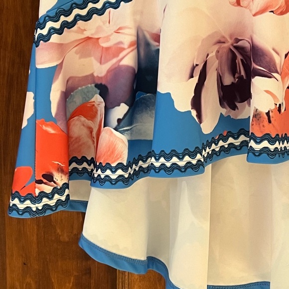 Jealous Tomato | blue floral high-low skirt | Size S | Like New - Picture 8 of 12